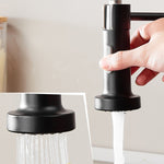 Robinet de cuisine avec valve de réservoir d'eau chaude et froide, modèle noir, modèle galvanoplastie, modèle brossé