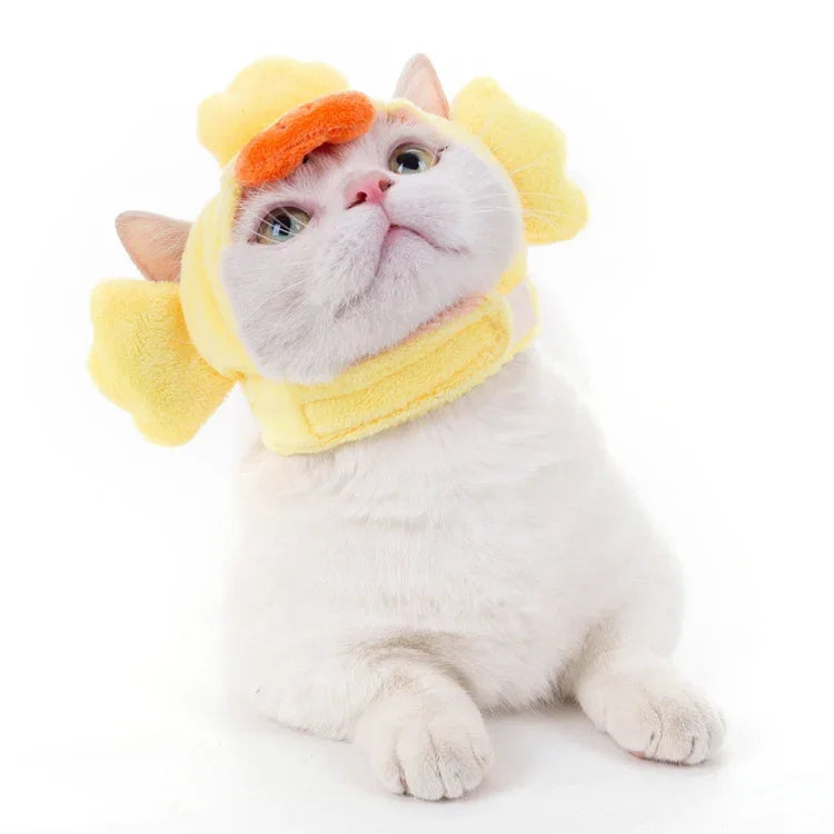 Bandeau Doux pour Chat Chien, Chapeau d'Animal de Compagnie à Porter en Travers, XS, S, M, L
