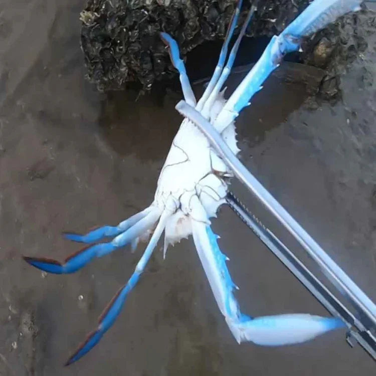 Pince à crabes Pince à loches Outil de mer, Pince droite 30cm, Pince droite 38cm, Pince courbée 38cm, Pince droite 53cm, Pince courbée 53cm