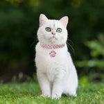 Collier pour animaux de compagnie, élastique, avec diamants, pour chats et chiens, bijoux, Tailles S, M, L
