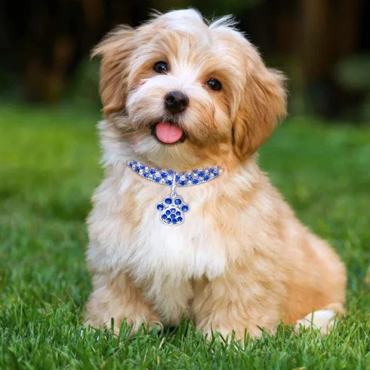Collier pour animaux de compagnie, élastique, avec diamants, pour chats et chiens, bijoux, Tailles S, M, L