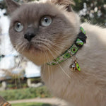 Collier pour Chat en Tissu avec Fruits et Clochette, 1x28cm