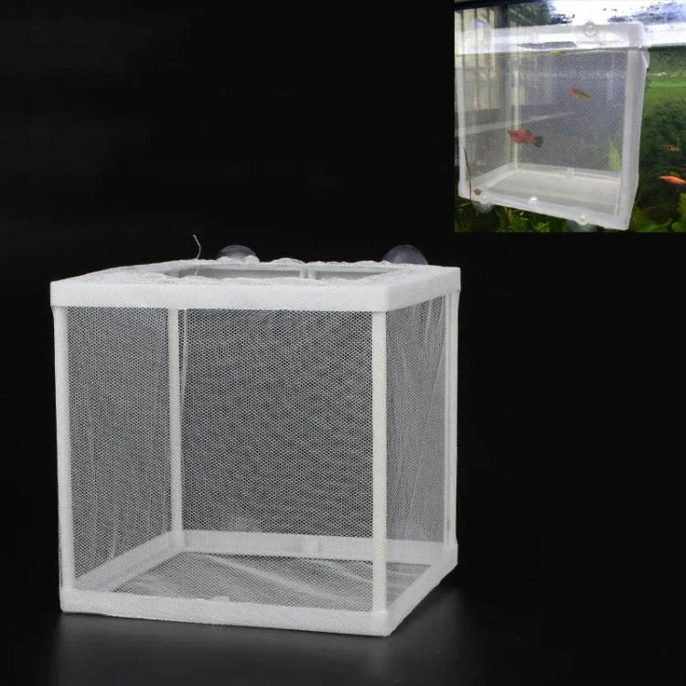 Petit incubateur pour aquarium Petite boîte d'isolation pour petits poissons Filet Boîte d'élevage de poissons tropicaux, Sans cloison