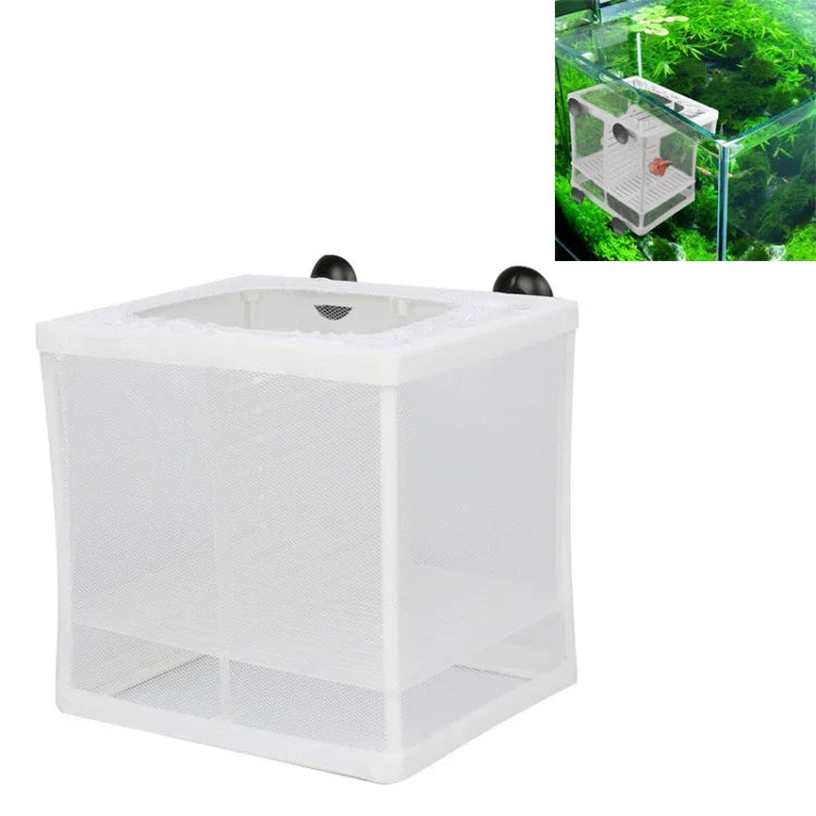 Petit incubateur avec cloison Petite boîte d'isolation pour petits poissons Filet Boîte d'élevage de poissons tropicaux, Avec cloison