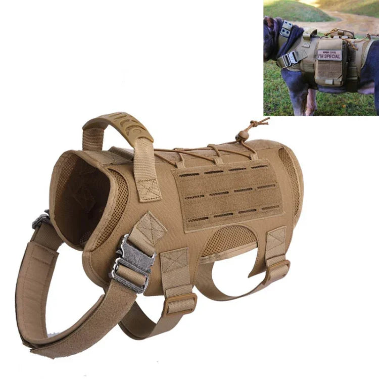 Gilet de dressage pour chien, équipement de plein air, vêtements pour animaux de compagnie, M, L