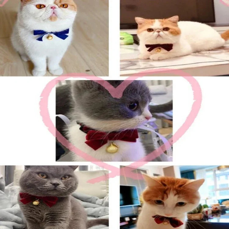 Collier Réglable en Velours avec Nœud Papillon pour Animaux de Compagnie (Chat, Chien, Lapin), Accessoires, S 17-30cm Nœud Papillon, S 17-30cm Nœud Papillon avec Clochette