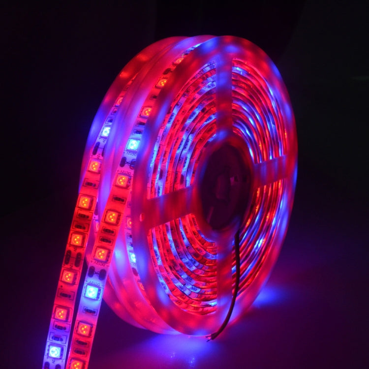 Bande LED 5m 300 LEDs SMD 5050 spectre complet Fitolampy lampes de croissance pour serre hydroponique, étanche