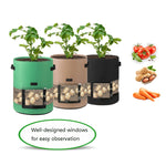 Sac Transparent pour Pomme de Terre avec Couverture Centrale, Sac de Culture de Plantes, Grand (35x45cm) 43 Litres/10 Gallons, Moyen (30x35cm) 26 Litres/7 Gallons