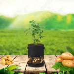 Sac Transparent pour Pomme de Terre avec Couverture Centrale, Sac de Culture de Plantes, Grand (35x45cm) 43 Litres/10 Gallons, Moyen (30x35cm) 26 Litres/7 Gallons