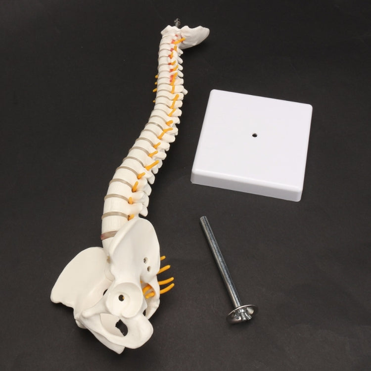 Texte alternatif de l'image