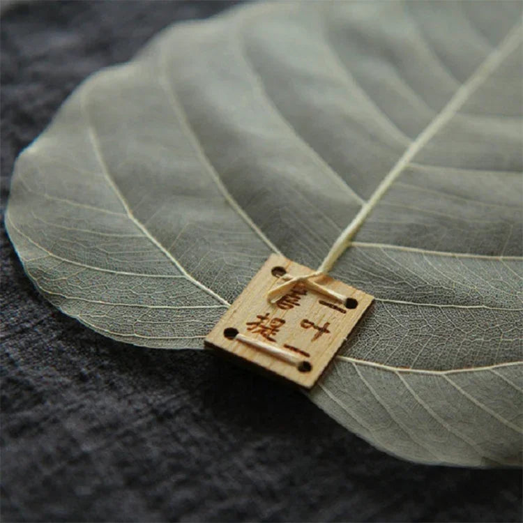 Filtre à thé créatif en forme de feuille de bodhi naturelle, feuille de bodhi
