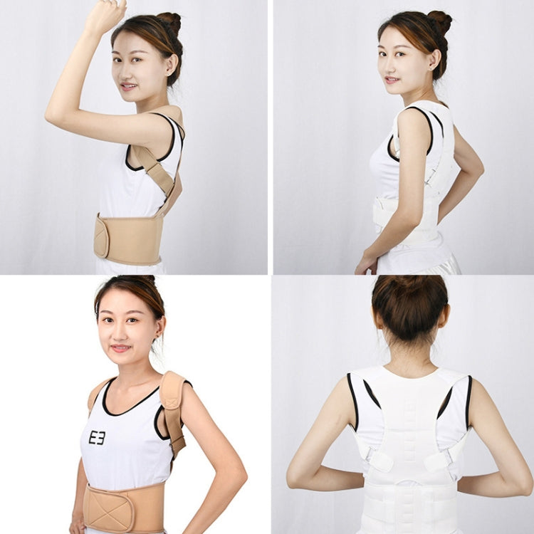 Ceinture de correction de la posture dorsale pour adultes, ceinture de correction de la cyphose, tailles S, M, L, XL, XXL