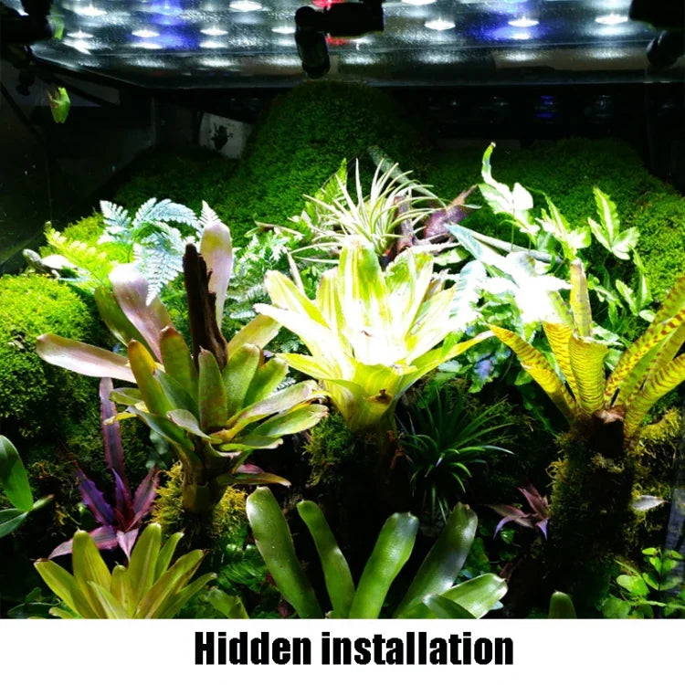 Paysage écologique d'élevage pour reptiles MS-PT02-A Aquarium forêt tropicale Pulvérisateur universel à atomisation et refroidissement, MS-PT02-A