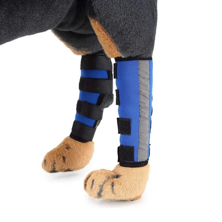 Genouillères pour animaux de compagnie, protections de pattes de chien, équipement de protection pour animaux de compagnie, gaine de protection pour blessures chirurgicales, L, S, M