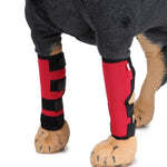Genouillères pour animaux de compagnie, protections de pattes de chien, équipement de protection pour animaux de compagnie, gaine de protection pour blessures chirurgicales, L, S, M