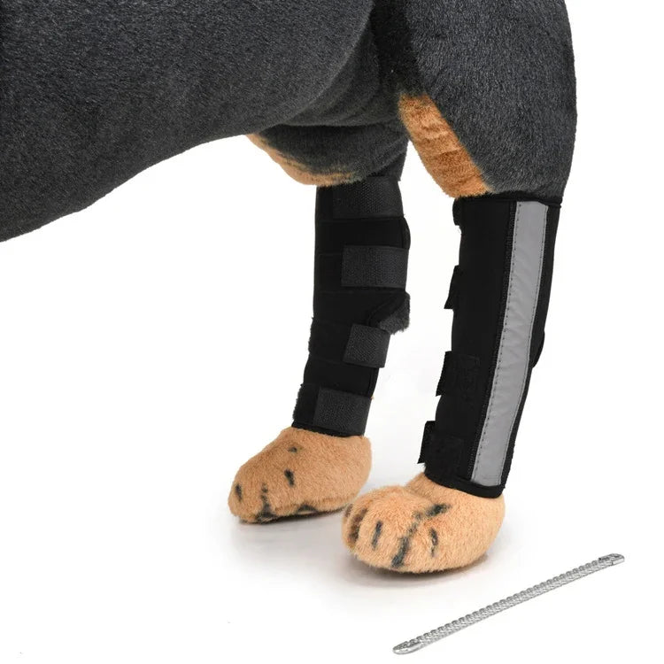 Genouillères pour animaux de compagnie, protections de pattes de chien, équipement de protection pour animaux de compagnie, gaine de protection pour blessures chirurgicales, L, S, M