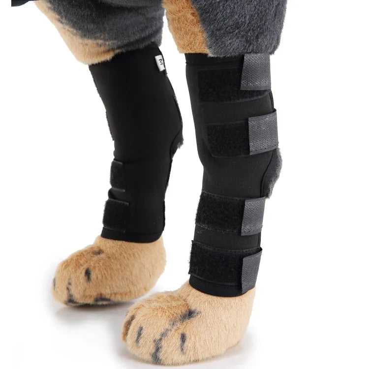 Genouillères pour animaux de compagnie, protections de pattes de chien, équipement de protection pour animaux de compagnie, gaine de protection pour blessures chirurgicales, L, S, M