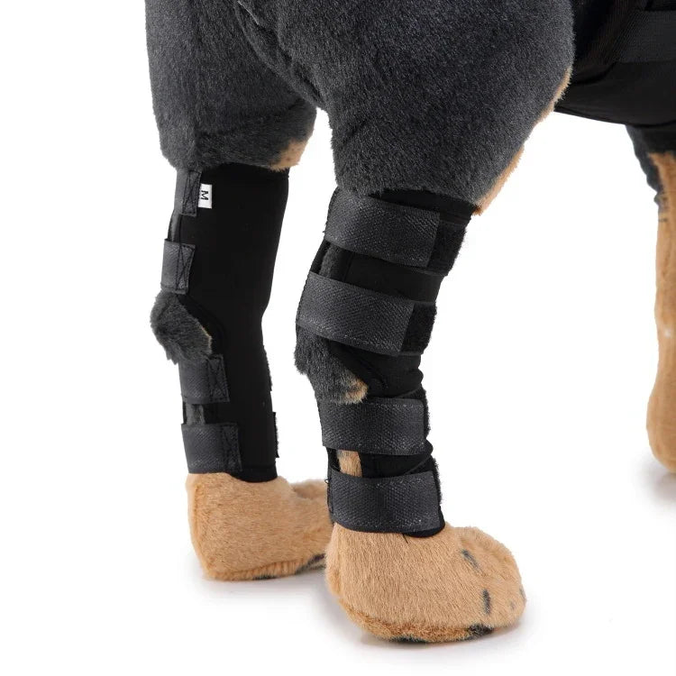 Genouillères pour animaux de compagnie, protections de pattes de chien, équipement de protection pour animaux de compagnie, gaine de protection pour blessures chirurgicales, L, S, M