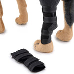 Genouillères pour animaux de compagnie, protections de pattes de chien, équipement de protection pour animaux de compagnie, gaine de protection pour blessures chirurgicales, L, S, M
