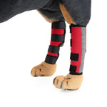 Genouillères pour animaux de compagnie, protections de pattes de chien, équipement de protection pour animaux de compagnie, gaine de protection pour blessures chirurgicales, L, S, M