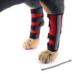 Genouillères pour animaux de compagnie, protections de pattes de chien, équipement de protection pour animaux de compagnie, gaine de protection pour blessures chirurgicales, L, S, M