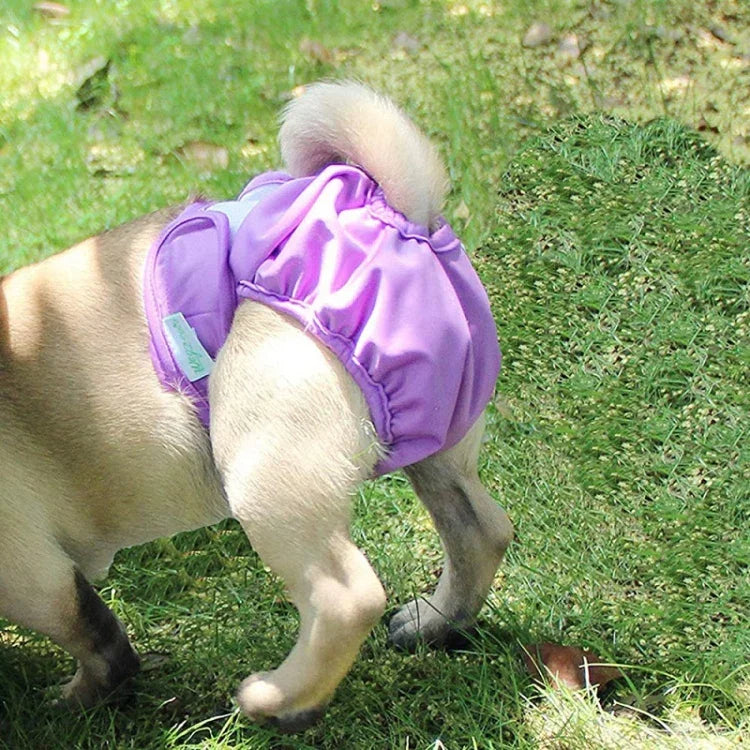 Culotte physiologique imperméable pour animaux de compagnie, XS, S, M, L, XL