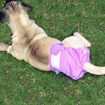Culotte physiologique imperméable pour animaux de compagnie, XS, S, M, L, XL