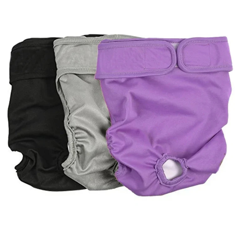 Culotte physiologique imperméable pour animaux de compagnie, XS, S, M, L, XL