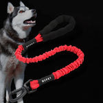 HCPET Laisse de traction pour chien Corde élastique anti-choc pour animaux de compagnie, 75 cm, 120 cm