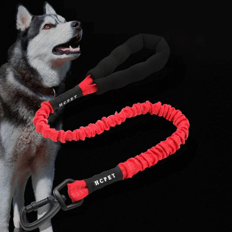 HCPET Laisse de traction pour chien Corde élastique anti-choc pour animaux de compagnie, 75 cm, 120 cm