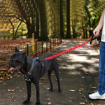 HCPET Laisse de traction pour chien Corde élastique anti-choc pour animaux de compagnie, 75 cm, 120 cm