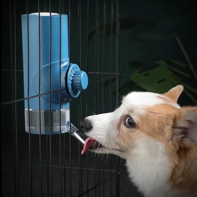 Abreuvoir pour animaux de compagnie avec distributeur de balles, à suspendre, pour chiens, abreuvoir pour cage, tasse d'eau pour animaux de compagnie, 500 ml, 700 ml