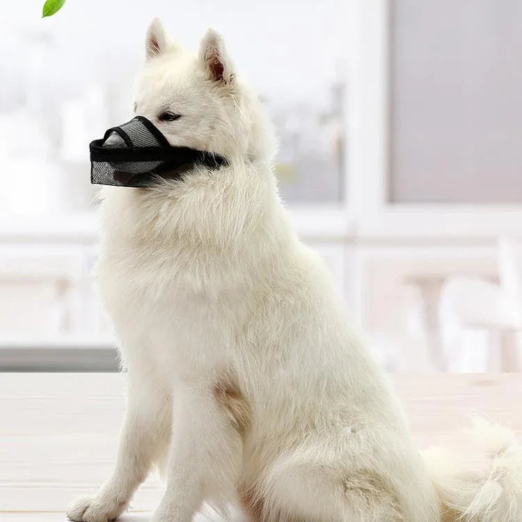 Cache-museau pour chien anti-morsure en maille pour chiens de taille moyenne et grande, XXS, XS, S, M, L, XL