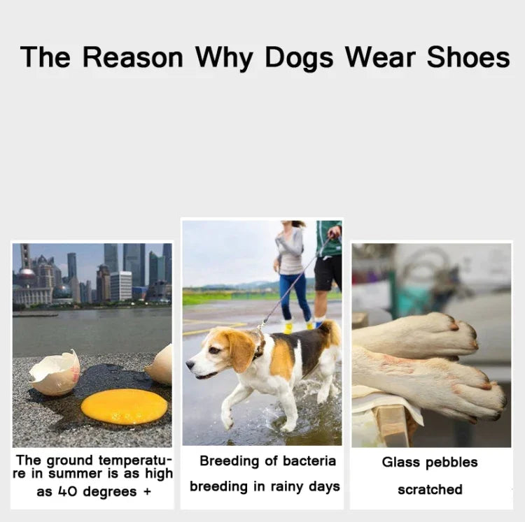 Chaussures de sport pour animaux de compagnie JML, antidérapantes, résistantes à l'usure, confortables et respirantes, 1