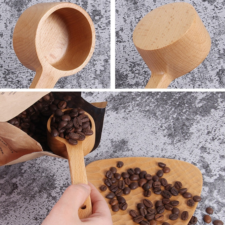 Cuillère en bois à long manche, cuillère à assaisonnement, cuillère à dessert, à café, à thé au lait ; petite cuillère à assaisonnement, cuillère à assaisonnement moyenne, grande cuillère à assaisonnement