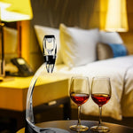 Ensemble de décanteur rapide pour vin rouge, filtre de décanteur et verseur, ensemble de décanteur