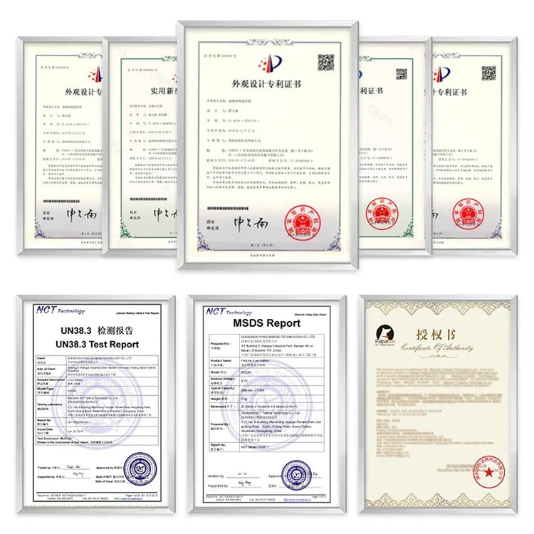 PaiPaitek PD529V-1 Training Dog Anti-Barking Device Vibration Collar 1000M Remote Control Distance Pet Training Supplies, PD529V-1