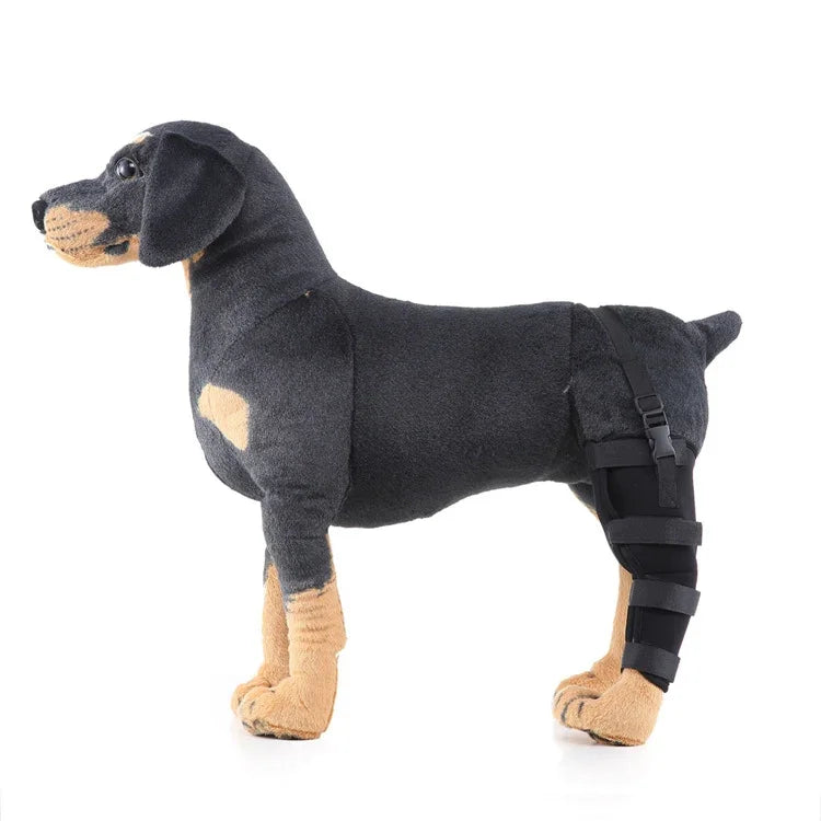HJ19 Protecteur de rééducation pour pattes arrière pour chirurgie animale, aides à la marche, XS, S, M, L