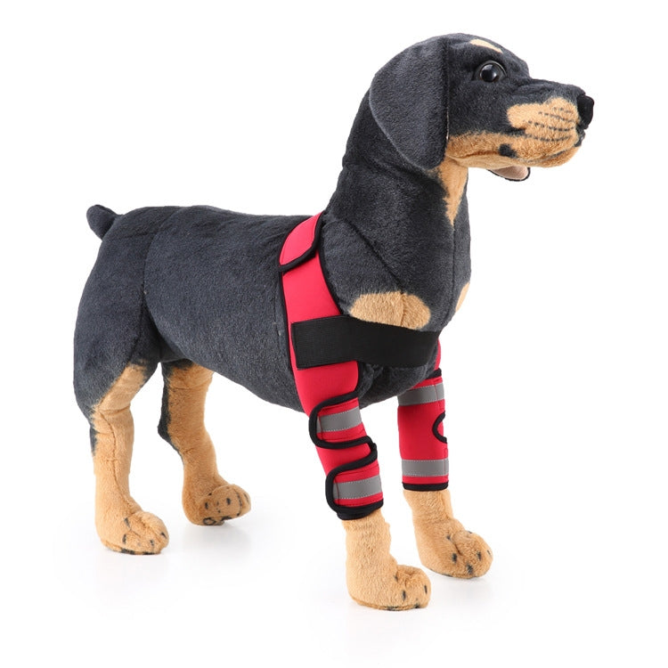 Genouillère de protection pour chien, suite à une intervention chirurgicale ou blessure, S, M, L
