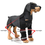 Genouillère de protection pour chien, suite à une intervention chirurgicale ou blessure, S, M, L