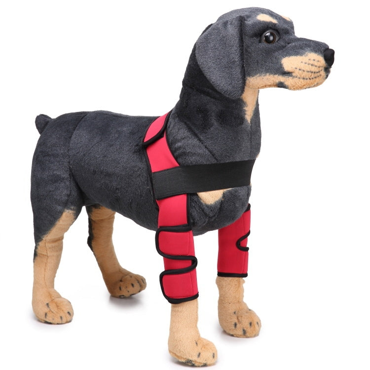 Genouillère de protection pour chien, suite à une intervention chirurgicale ou blessure, S, M, L