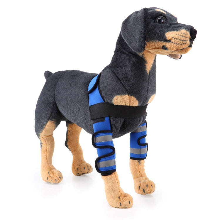 Genouillère de protection pour chien, suite à une intervention chirurgicale ou blessure, S, M, L