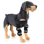 Genouillère de protection pour chien, suite à une intervention chirurgicale ou blessure, S, M, L