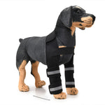Genouillère de protection pour chien, suite à une intervention chirurgicale ou blessure, S, M, L