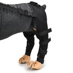 Genouillère de protection pour chien, suite à une blessure ou une chirurgie, tailles TP, P, M