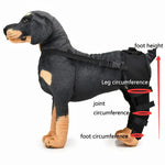 Genouillère de protection pour chien, suite à une blessure ou une chirurgie, tailles TP, P, M