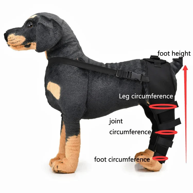 Genouillère de protection pour chien, suite à une blessure ou une chirurgie, tailles TP, P, M