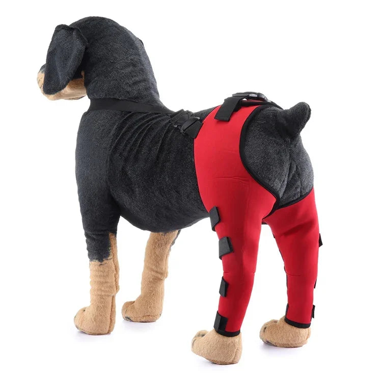 Genouillère de protection pour chien, suite à une blessure ou une chirurgie, tailles TP, P, M