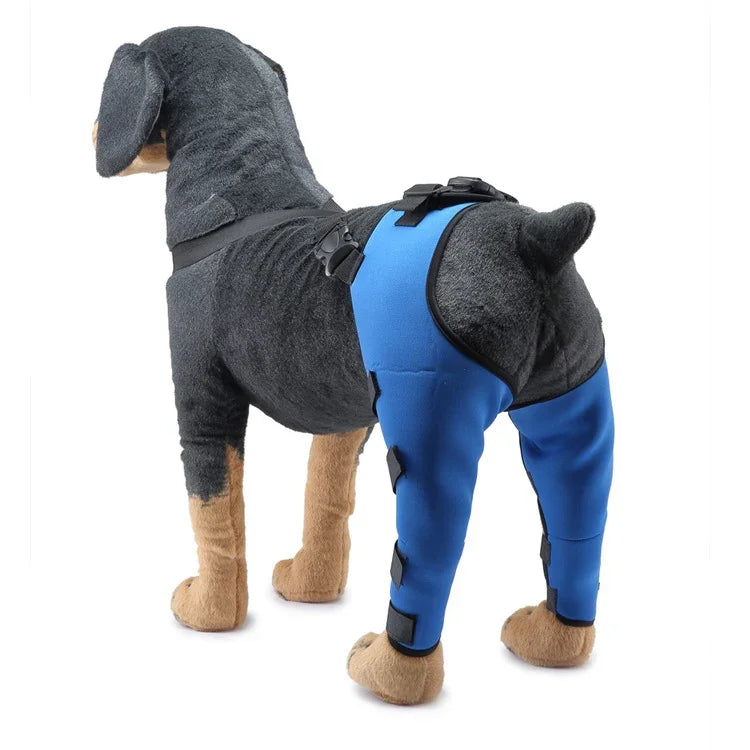 Genouillère de protection pour chien, suite à une blessure ou une chirurgie, tailles TP, P, M