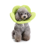 Collier de protection pour animaux de compagnie Collier de protection pour chien à motif floral, S, M, L